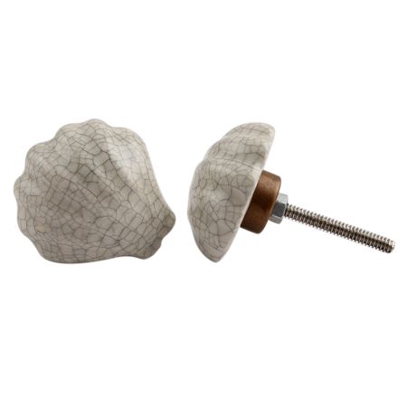 Cream Sea Shell Cabinet Knob